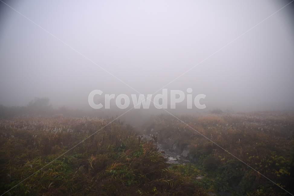 nature,자연mist,fog,mist,가을,풍경,자연,풍경,nature,landscape