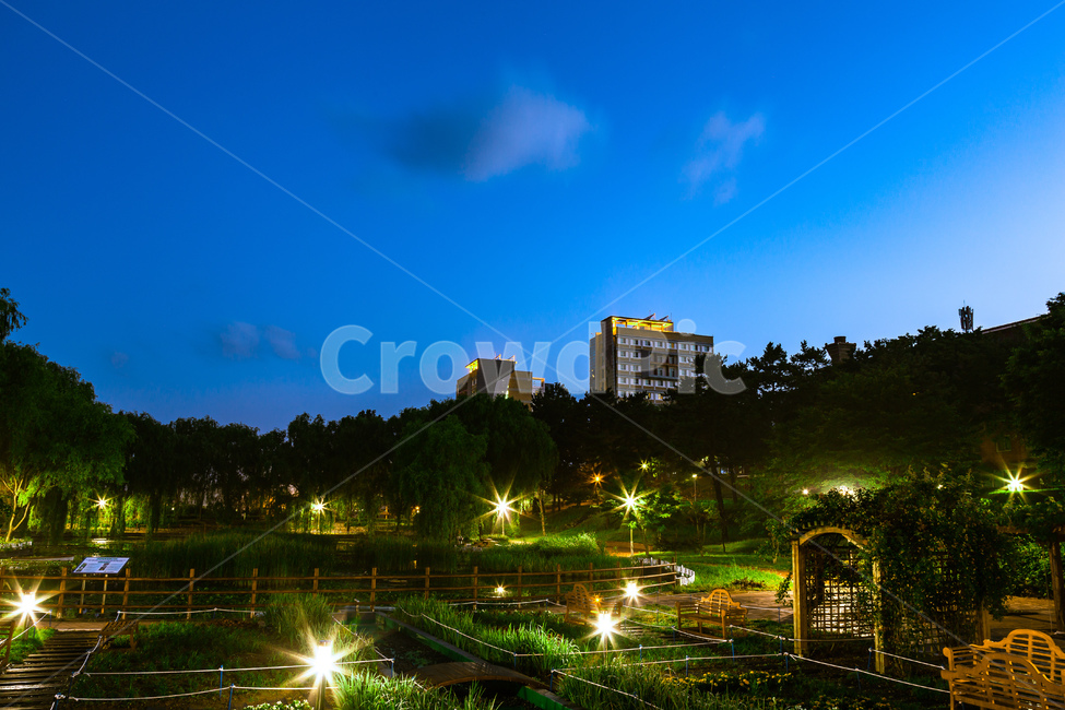 기숙사,야경,공원,호수,여명,아침,nightview,park,dawn,lake,야경,밤,풍경,nightscape,night,landscape,flare,플레어,light,빛