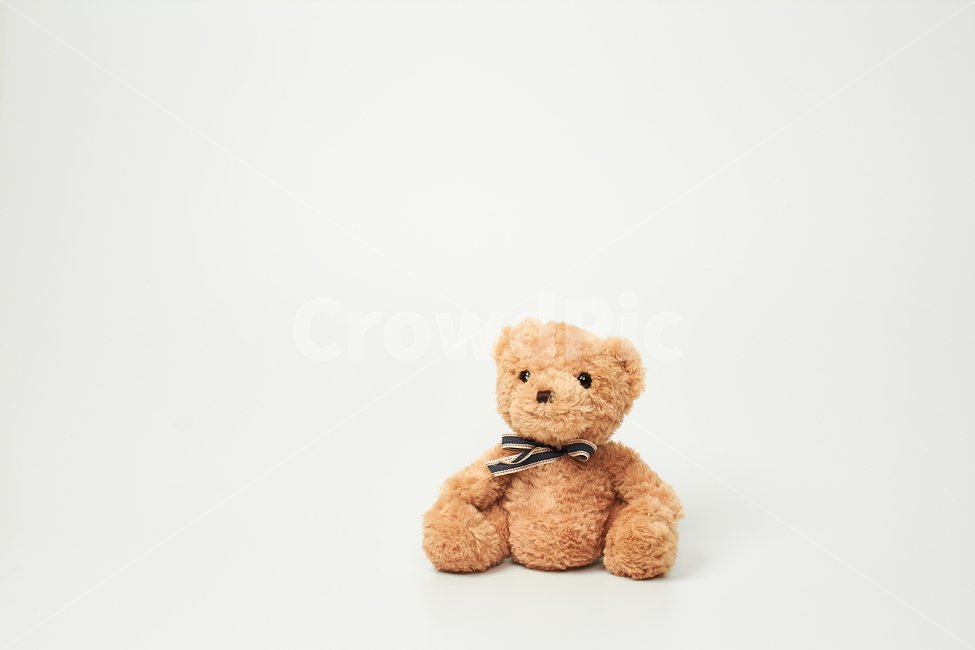 곰,곰인형,인형,완구,장난감,어린이,사물,물건,오브젝트,thing,objectmatter,누끼,흰색,배경,합성,귀엽다,예쁘다,브라운,리본,눈,코,입,앉다,어린이,어린아이,child,children,kid,사물,물건,오브젝트,thing,object,matter,누끼,remove background