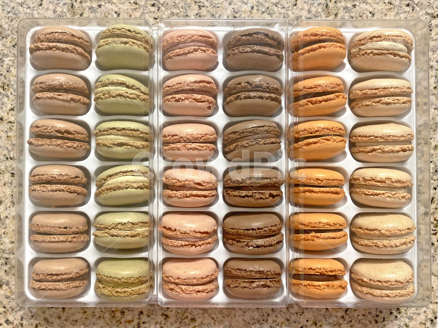 마카롱,빵집,가게,음식,디저트,색감,달콤함,shop,bakery,color,디저트,간식,후식,dessert,snack