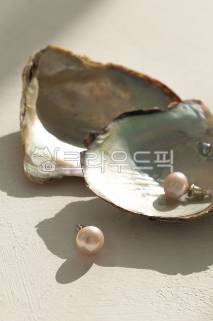 진주, 귀걸이, 진주귀걸이, 악세사리, 쥬얼리, 사진,이미지,일러스트,캘리그라피 - natsu u작가