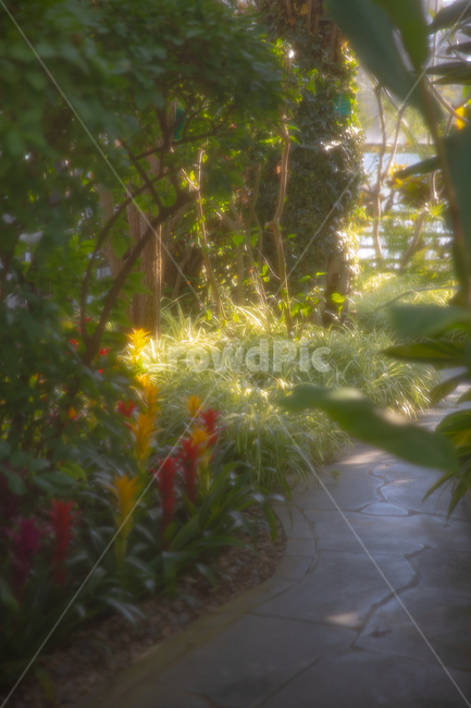 햇살,따스함,감성,분위기,꽃,자연,풍경,nature,landscape,감성,sensible,feeling,휴식,힐링,rest,relaxation,healing,flare,플레어,light,빛
