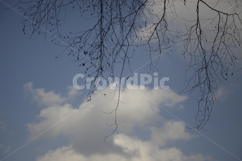 하늘,구름,파랑,자연,풍경,하늘색,나무,자연,풍경,nature,landscape,weather,날씨,outdoors,옥외