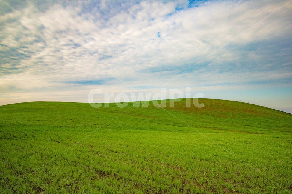 제주오름,푸른언덕,자연,잔디,field