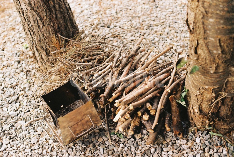 나무,캠핑,장작,캠프파이어,뗄감,나뭇가지,tree,wood,camping,camp,firewood,woodpile,campfire,색감