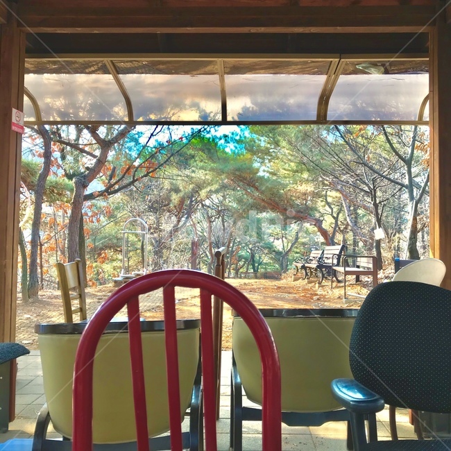 의자,가구,자연,조화,풍경,chair,furniture