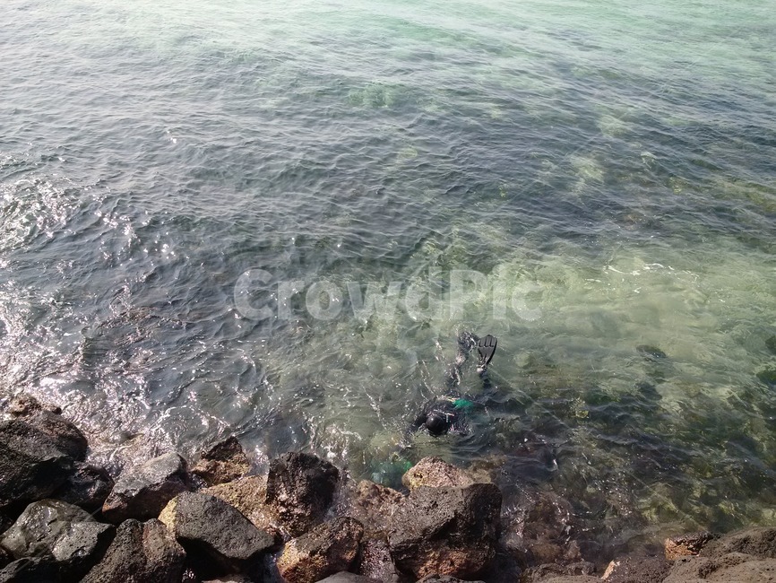 바다,물,해변,자연,sea,water,beach,nature