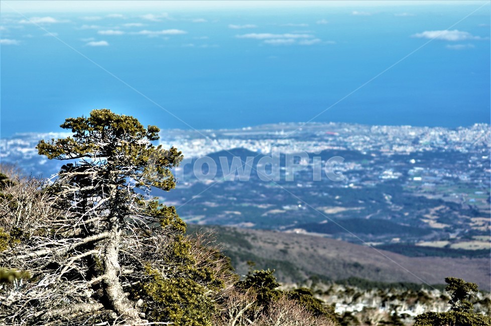 한라산,백록담,산,제주,겨울산,국립공원,나무,제주시,자연,풍경,nature,landscape
