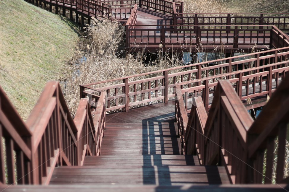 banister,handrail,나무,wood,railing,난간,나무계단,나무난간,길,도로,공원,하천,step,갈대