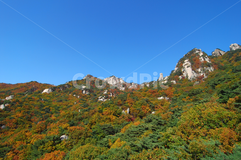 도봉산,산,단풍,가을,계절,풍경,자연,나무,숲,산림,삼림,봉,봉우리,산봉우리,등산,국립공원,하늘,배경,백그라운드,서울,한국,가을,계절,fall,autumn,season,자연,풍경,nature,landscape,한국자연풍경,한국자연경관,korea nature landscape,outdoors,옥외,mountain,mountain range,산맥