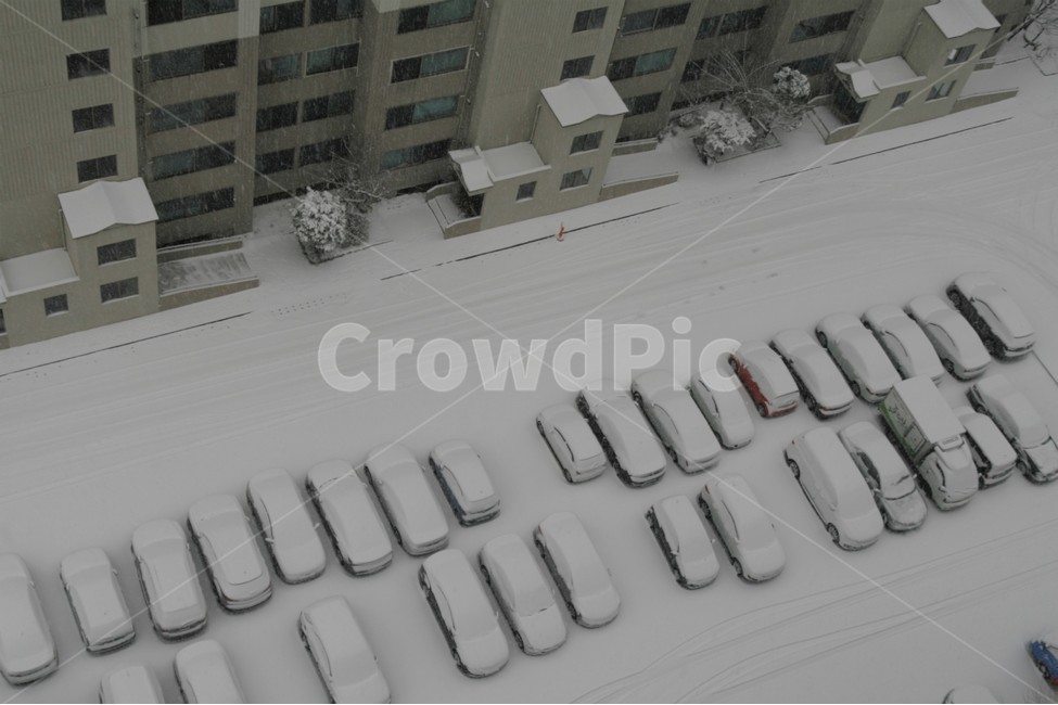 폭설,겨울,주차장,풍경,자동차,승용차,주차,계절,아파트,겨울,계절,winter,season,도시,풍경,city,landscape,교통,교통수단,traffic,transportation,car,차,vehicle,차량,automobile