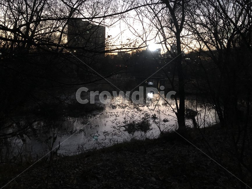 서울,한강공원,여의도,한강,공원,여의도한강공원,sky,park,evening,sunset,hangangpark,자연,풍경,nature,landscape,outdoors,옥외,land,땅,light,빛,flare,플레어,water,물