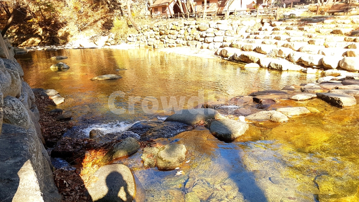 nature,water,물,자연,river