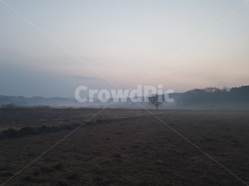 nature,자연,outdoors,옥외,아침안개,들판,고요,평온,morning,peace,calm