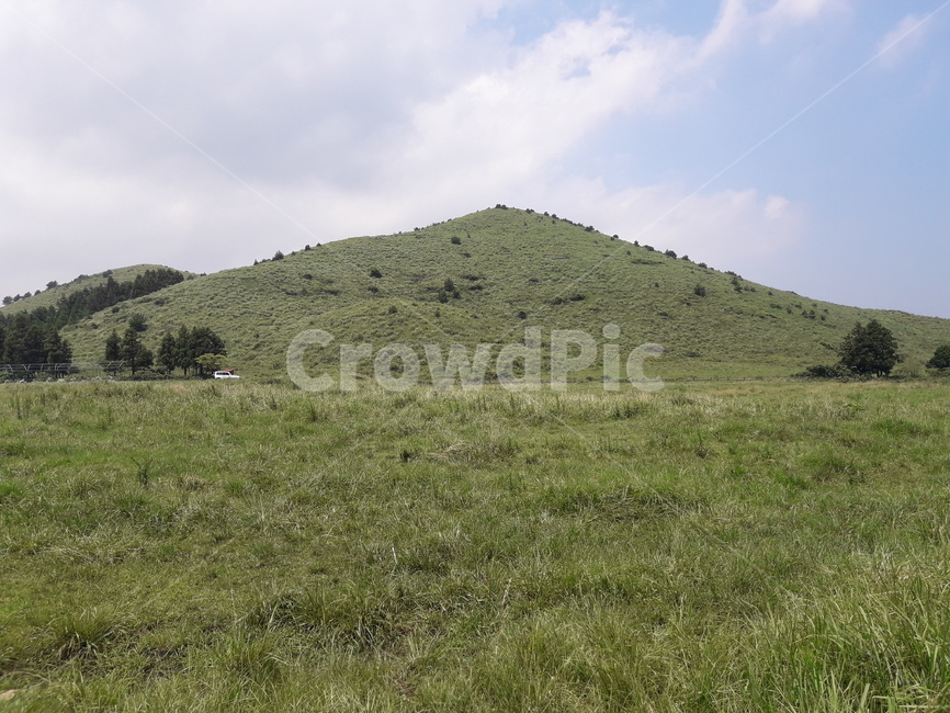 오름,마루,동산,산,hill,초록,green,자연,풍경,nature,landscape,한국자연풍경,한국자연경관,korea nature landscape,제주도,jeju,jeju island,outdoors,옥외,언덕