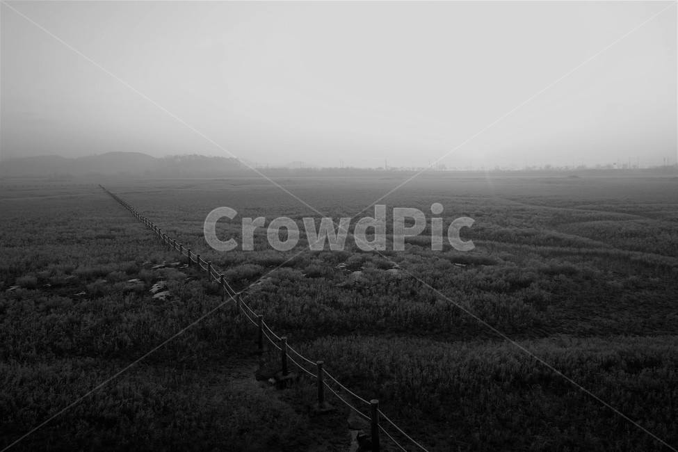 소래,습지,새벽,안개,갯벌,서릿발,자연,풍경,nature,landscape,흑백,모노톤,monochrome,black and white,outdoors,옥외