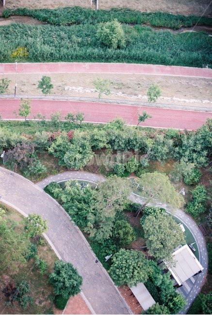 필름,감성,감성사진,film,아날로그,analog,자연,풍경,자연,풍경,nature,landscape,경치,outdoors,옥외,scenery,aerial view,조감도
