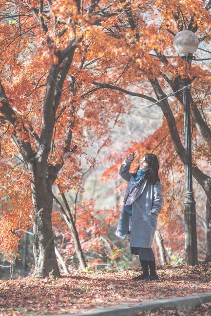 단풍,나무,가을,식물,사람,인간,여자,잎,maple,tree,autumn,plant,human,person,woman,leaf,가을,계절,fall,autumn,season,사람,인물,인간,human,person,여성,여자,woman,female,lady