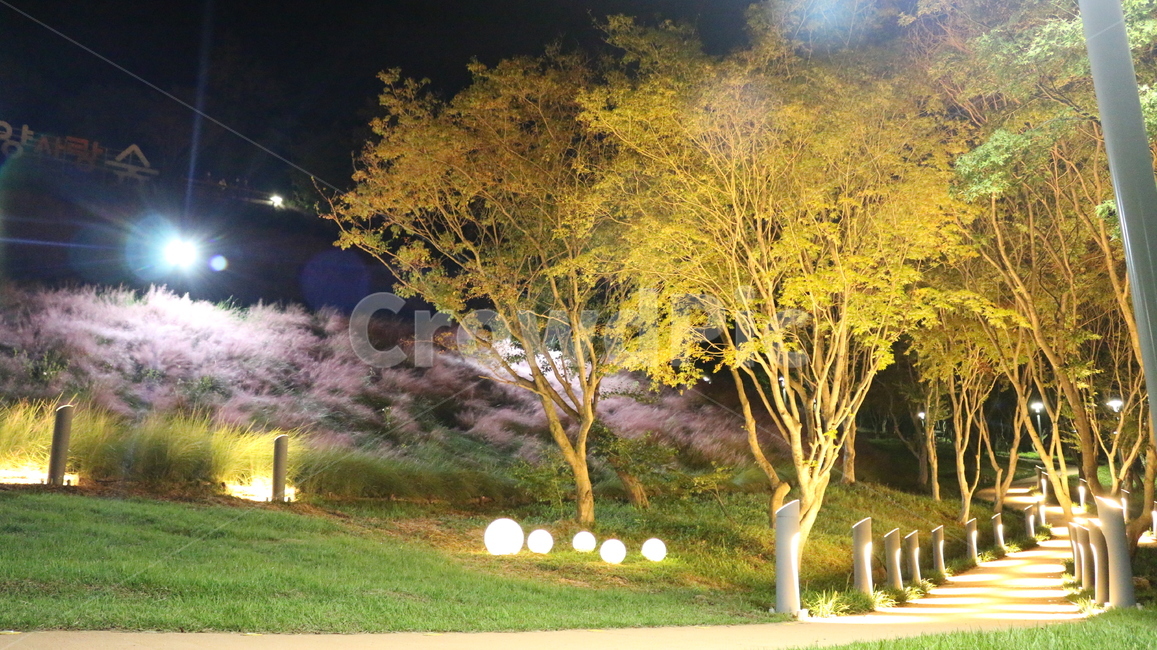 핑크뮬리,정읍사,정원,산책길,grass,잔디,저녁산책,가로등과길,통로,path,tree,나무,plant,식물,식물,자연,plants,nature,나무,trees,wood