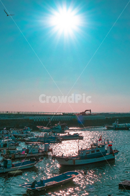 궁평항,선박,갈매기,항구,따사로움,경치,풍경,어업,fishery,fishing industry