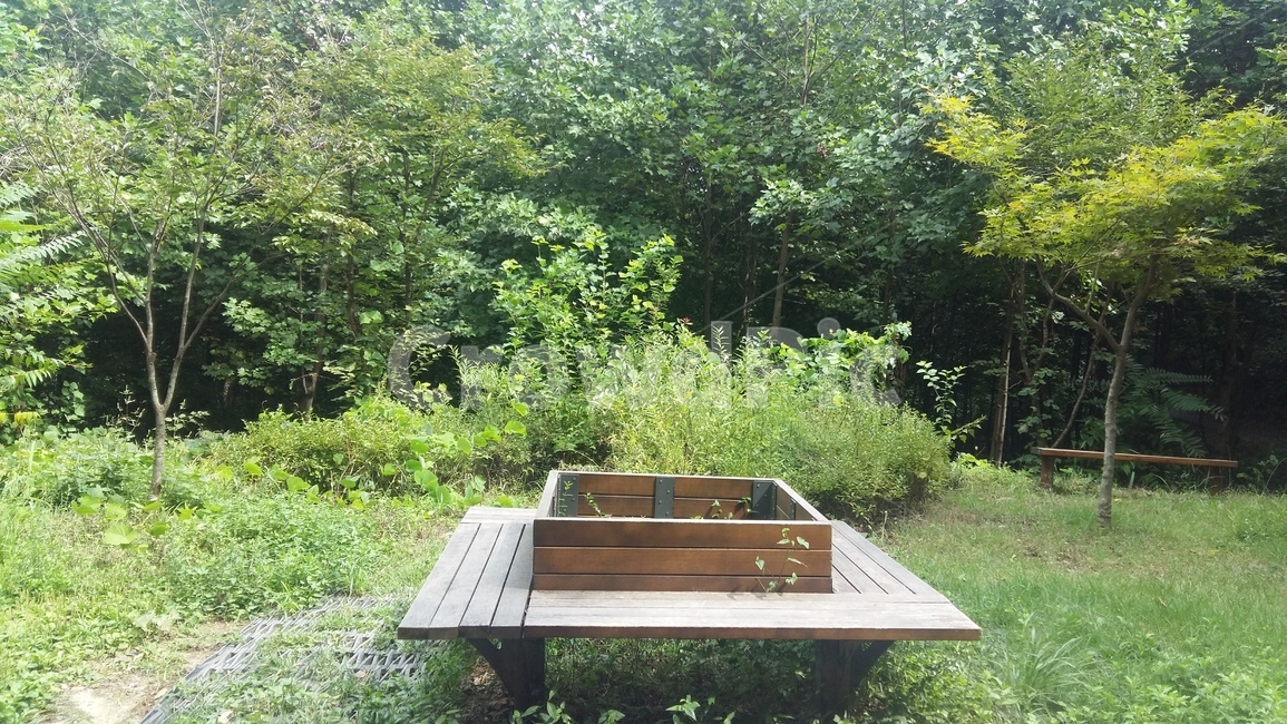 벤치,나무,산책로,자연,초록,자연,풍경,nature,landscape,wood,plywood,합판
