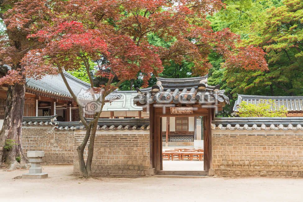 door,yard,Donggwol,traditional hanok,construct,wooden house,historic site,house,building,peaceful,Sarangchae,wooden building,architectural style,beautiful,secret garden,tile roof,premises,Changdeokgung Palace,tile,sight,treasure,Shipbuilding,quiet,Maple,t