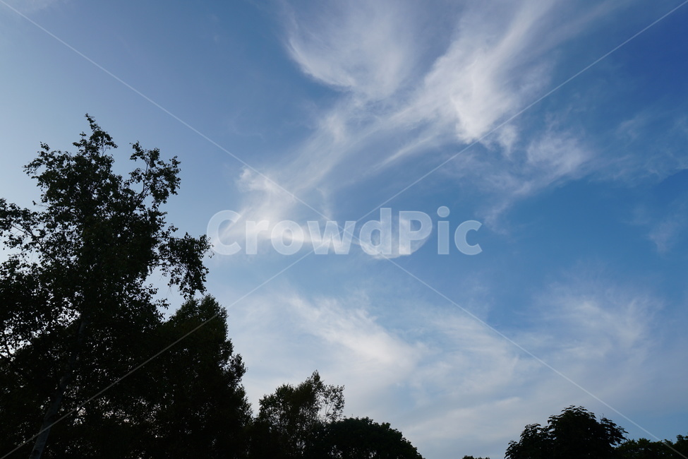 구름,하늘,예술,캠핑,뭉게뭉게,자연,풍경,sky,cloudy,cloud,힐링,일본,홋카이도,자연,풍경,nature,landscape,outdoors,옥외,weather,날씨