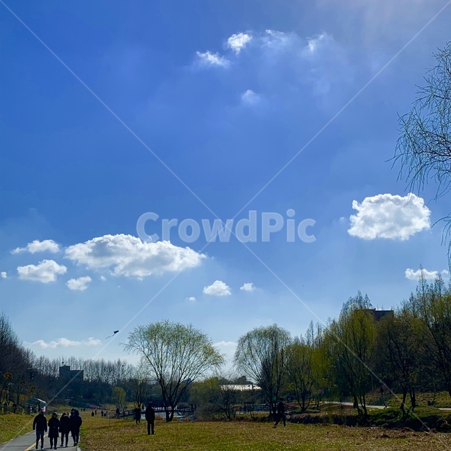 하늘,구름,풍경,날씨,푸른색,봄,spring,나무,자연,풍경,nature,landscape,weather,outdoors,옥외,cumulus,적운,sky,cloud