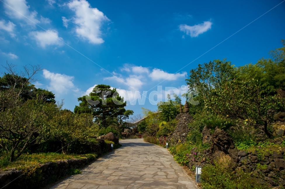 여행,하늘,구름,풍경,일상,스냅,파란,감성,푸른,자연,풍경,nature,landscape,outdoors,옥외,path,통로