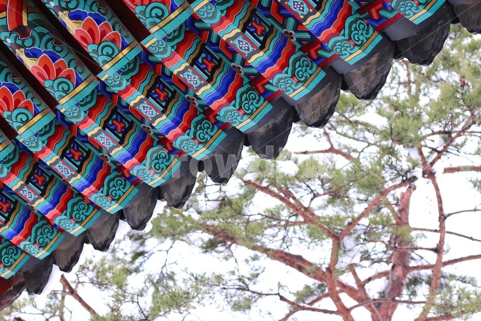 한국,절,전통,부석사,봄,한국전통,한국문화,korean traditional,korean culture,건축물,건물외관,exterior,building,structure,architecture,construction