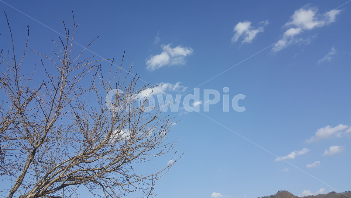 하늘,구름,구름낀하늘,경치,풍경,자연,풍경,nature,landscape,outdoors,옥외
