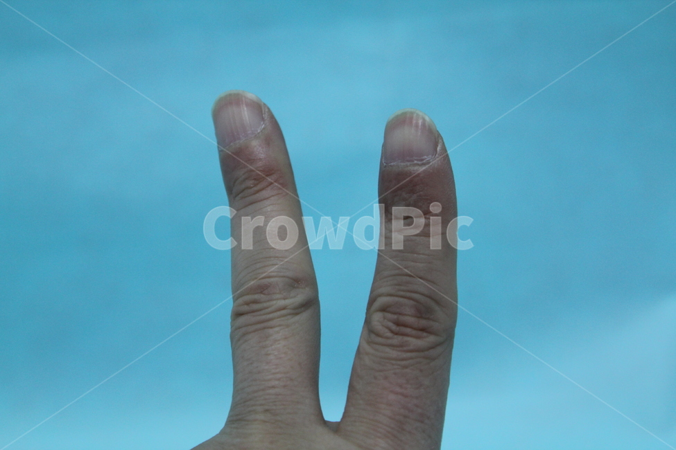 손,손가락,손가락모양,손모양,손톱,손등,신체,인체,사람,인물,인간,human,person,신체일부,몸,body