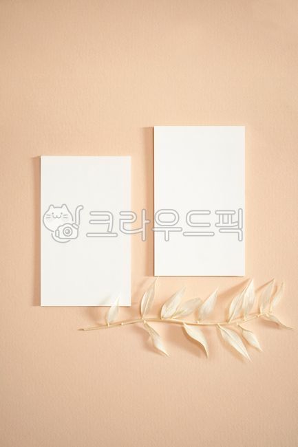 template,pink,hundred,blank,line,memo,highlight,white,copy space,gap,alarm,business,emptied,message,leaf,mockup,beige,sunlight,background,plant,Business card,frame