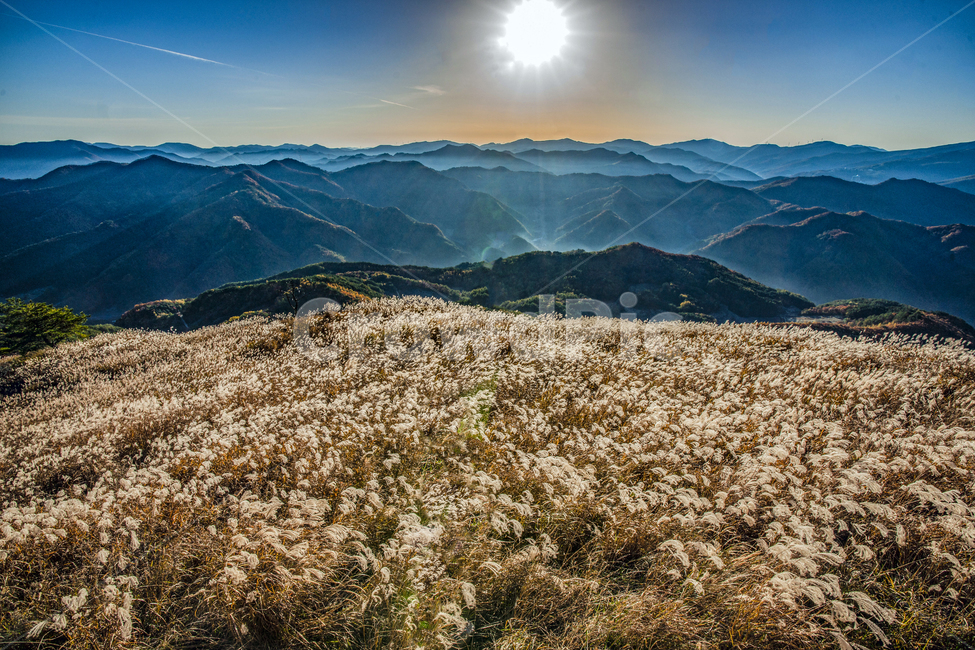 억새, 가을, 민둥산, 산행, 등산, 사진,이미지,일러스트,캘리그라피 - DH_PHOTO작가