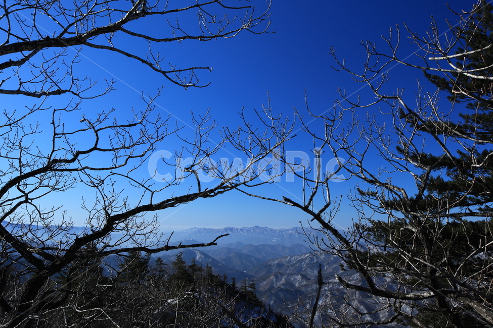 설악산,겨울산,파란하늘,겨울나무,능선,대청봉,겨울산행,등산,겨울,계절,winter,season,자연,풍경,nature,landscape,tree,나무,plant,식물
