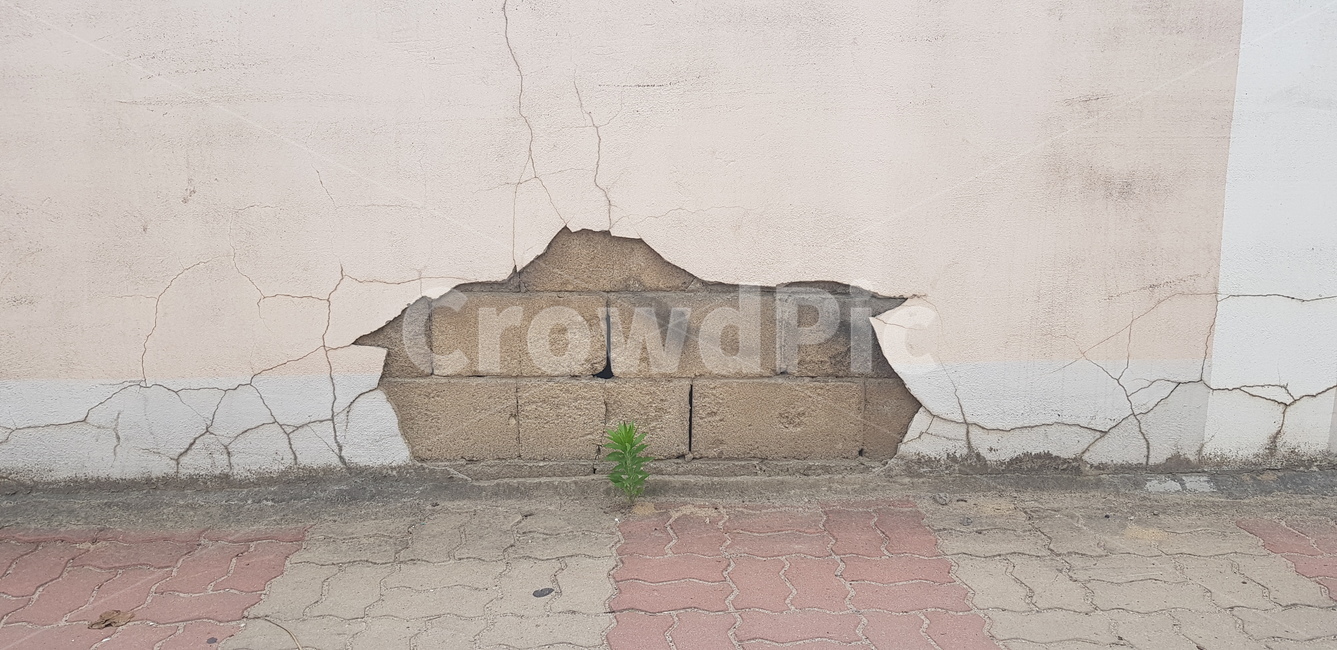 크랙,금,갈라짐,벽,질감,드러남,부서짐,풀,crack,wall,break,e​xposed,cement,split,texture
