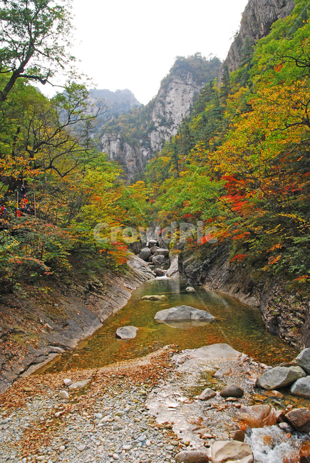 가을,설악산,단풍,가을배경,능선,국립공원,풍경,한국풍경,한국자연경관,가을산,nature,자연,outdoors,옥외,seoraksannationalpark,봉우리,nationalpark,산,maple,mountain,골짜기,outdoor,강원도,배경,바탕,10월,백그라운드,background,fall,autumn,season,시즌,계절,plant,tree,단풍나무,water,물,계곡,협곡,천불동,내설악,담,가을,계절,fall,autumn,season,자연,풍경,nature,landscape,creek,작은 만,stream,흐름