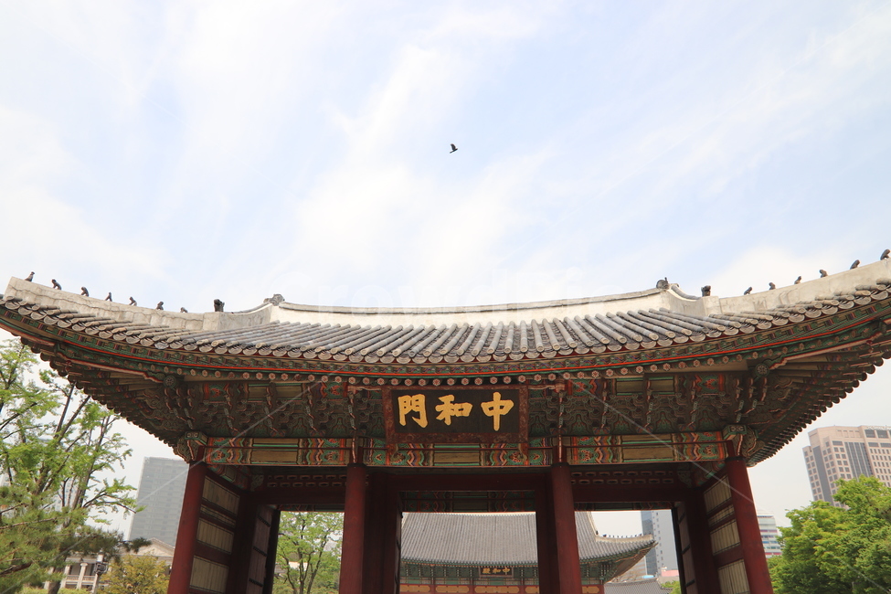 animal,동물,bird,새,덕수궁,고궁,한국전통,한국문화,korean traditional,korean culture,건축물,건물외관,exterior,building,structure,architecture,construction