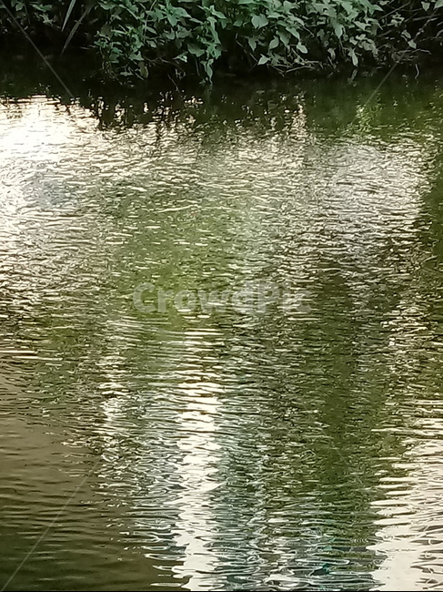 자연,nature,개울,stream,물,수초,냇가,시냇물,실개천,water,자연,풍경,nature,landscape,outdoors,옥외