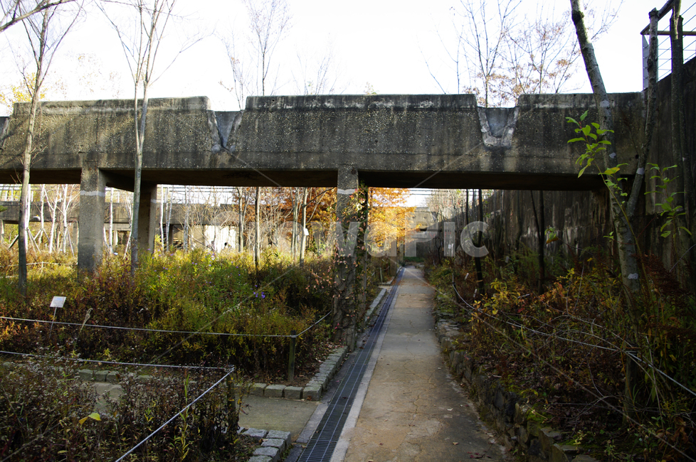 길,공원,나무,식물,잡초,자연,풍경,nature,landscape,road,도로,banister,난간,handrail