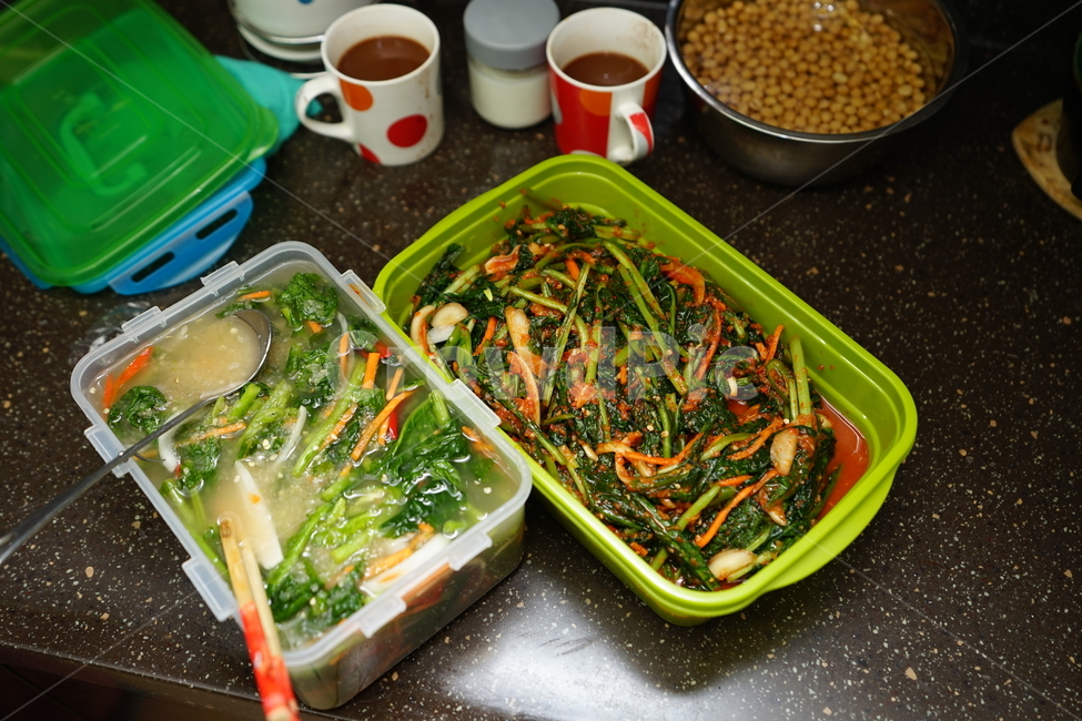 김치,열무,열무김치,반찬,한식,식단,먹거리,한국음식,집밥,반찬거리,음식,푸드,식사,우리집반찬,음식,식재료,요리,food,cook,meal,dishes,food reserves,채소,야채,vegetables,한식,한국음식,한국요리,korean food,korean dishes,korean meal,korean cook