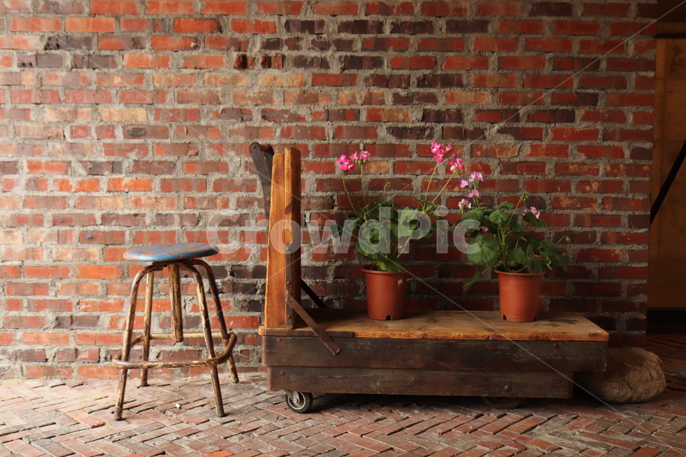 design,interior,outerior,flower,꽃,디자인,나무,벽돌,의자,갈색,화분,인테리어,아웃테리어,꽃,flower,실내용화초,화분,화초,house plant,인테리어,실내디자인,interior design