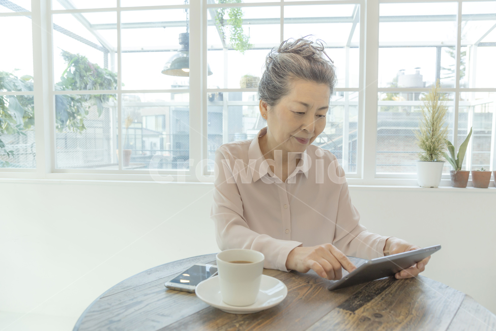 시니어,커피,커피잔,스마트폰,아이패드,화분,여성,여자,woman,female,lady,노인,어르신,old man, senior citizen