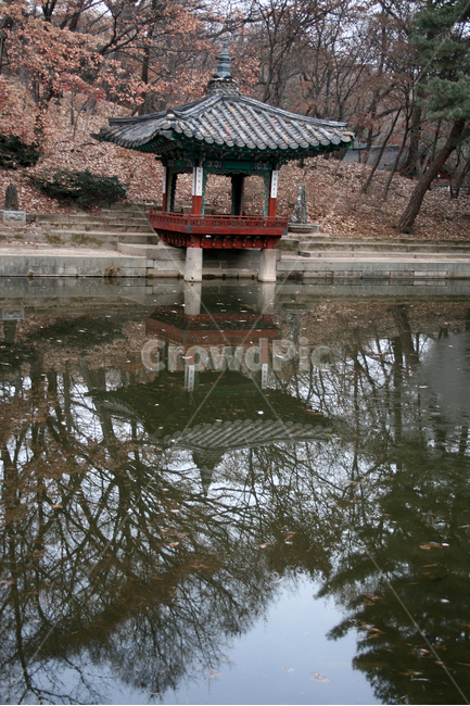 창덕궁,후원,애련정,세계문화유산,문화유산,한국,한국전통,한국문화,korean traditional,korean culture,랜드마크,landmark,tourist attraction,한국랜드마크,한국관광지,한국명소,korea landmark,korea tourist attraction