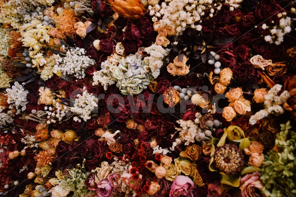 꽃,드라이플라워,장미,인테리어,로맨틱,식물,자연,plants,nature,꽃,flower