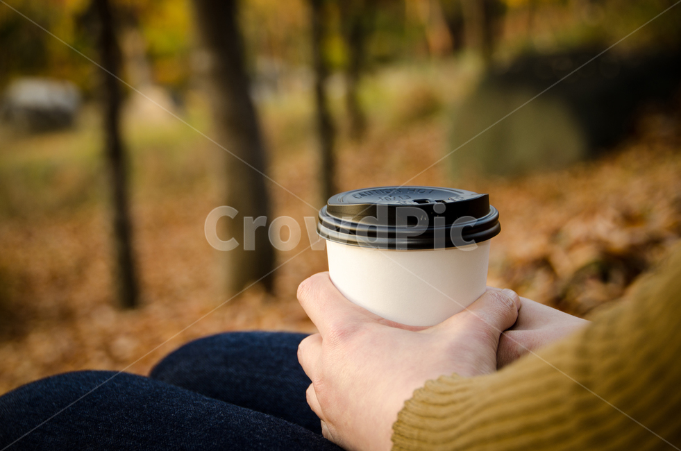 커피,가을,낙엽,휴식,사람,여성,여자,차,따뜻한,테이크아웃,단풍,마시다,여유,힐링,공원,산,손,잎,건강,웰빙,아늑한,행복,외부,스웨터,캐주얼,소녀,갈색,자연,카페,배경,뜨거운,컵,음료,편안함,아웃도어,계절,라이프스타일,아메리카노,라떼,카페라떼,커피,카페,coffee,cafe