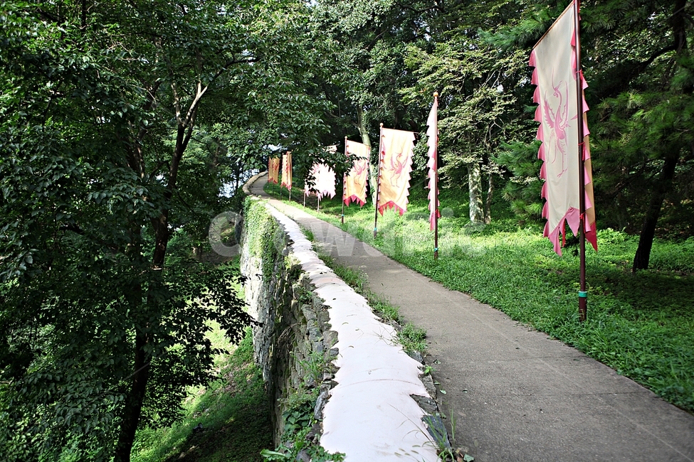 공주산성,산성,성,성곽,길,둘레길,숲,숲길,안개,담,돌담,여름,풍경,흙담,나무,식물,유네스코등제