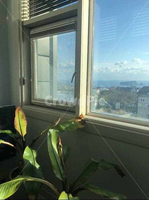 집,인테리어,house,interior,plant,식물,인테리어,실내디자인,interior design