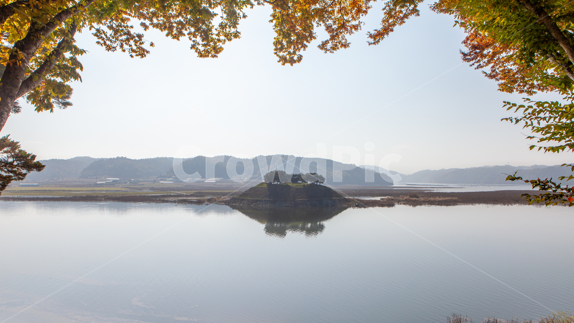 도산서원,시사단,도산서원시사단,가을,강,전통,감성