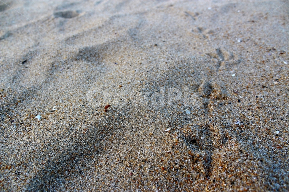 광안리,모래,발자국,해변,바다,해변,바다,beach,sea,감성,sensible,feeling